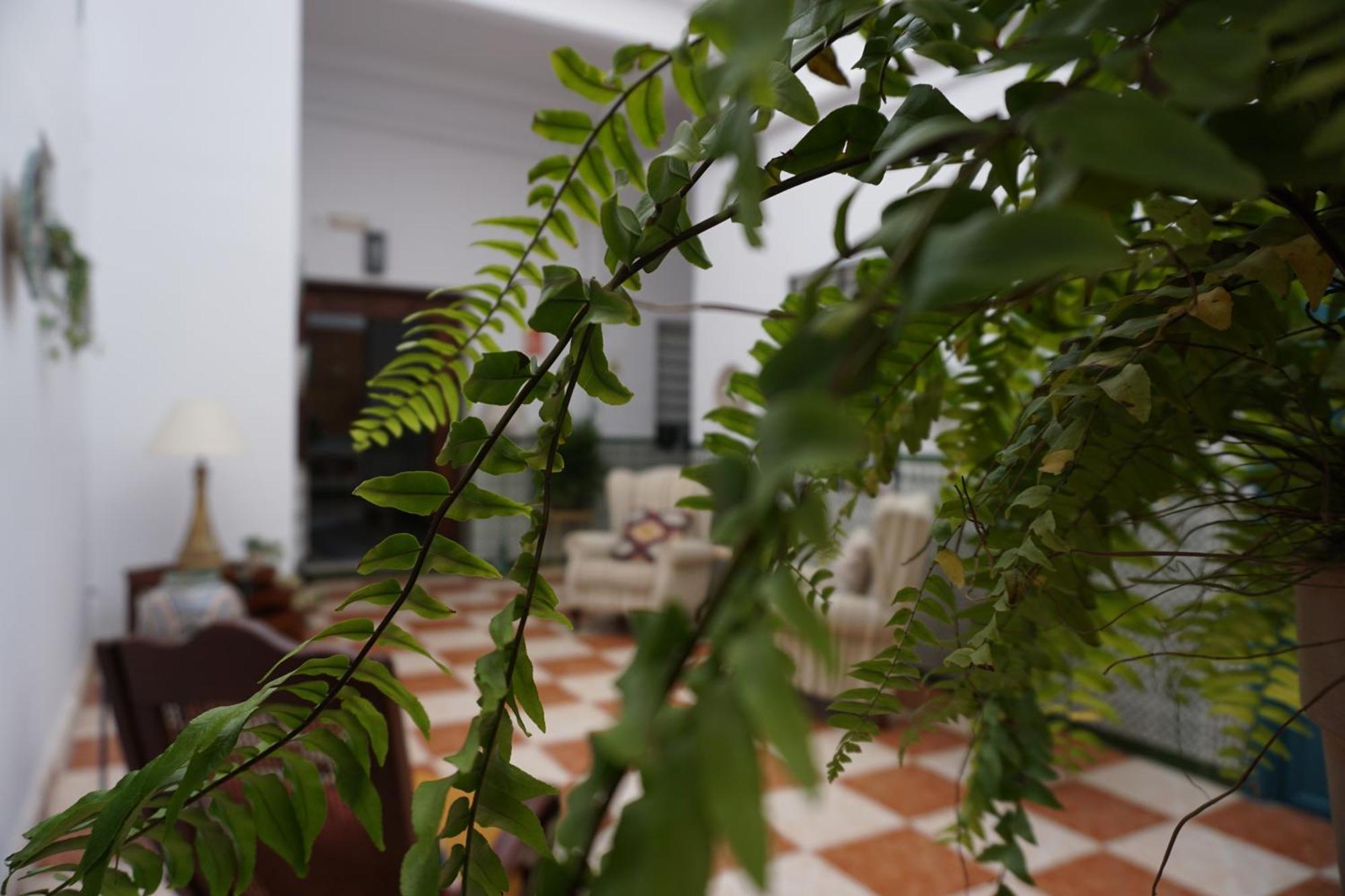 צ'יפיונה Montserrat Casa Del Mar מראה חיצוני תמונה