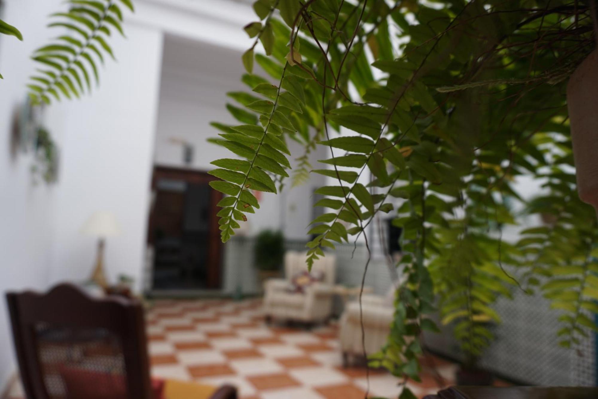 צ'יפיונה Montserrat Casa Del Mar מראה חיצוני תמונה