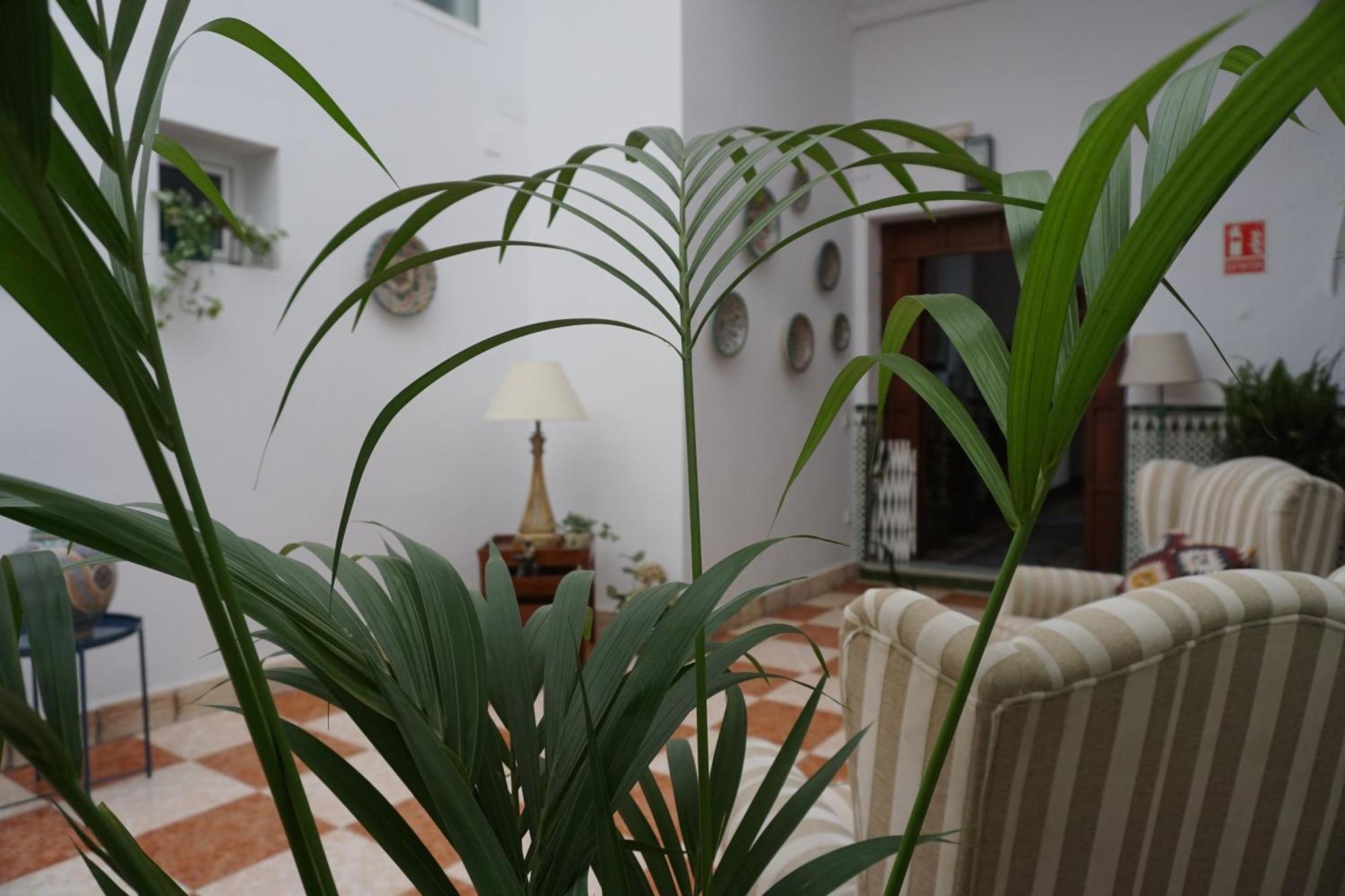 צ'יפיונה Montserrat Casa Del Mar מראה חיצוני תמונה